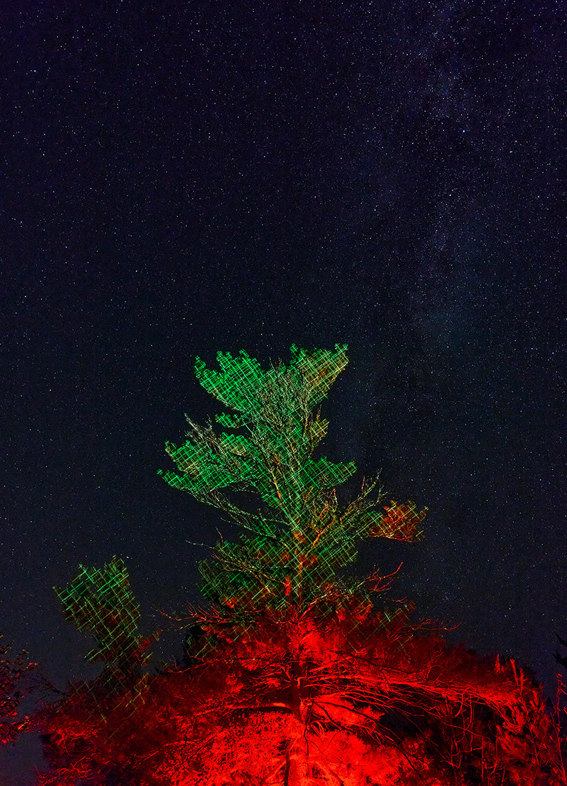 Tree with red and green lights against a dark, starry sky