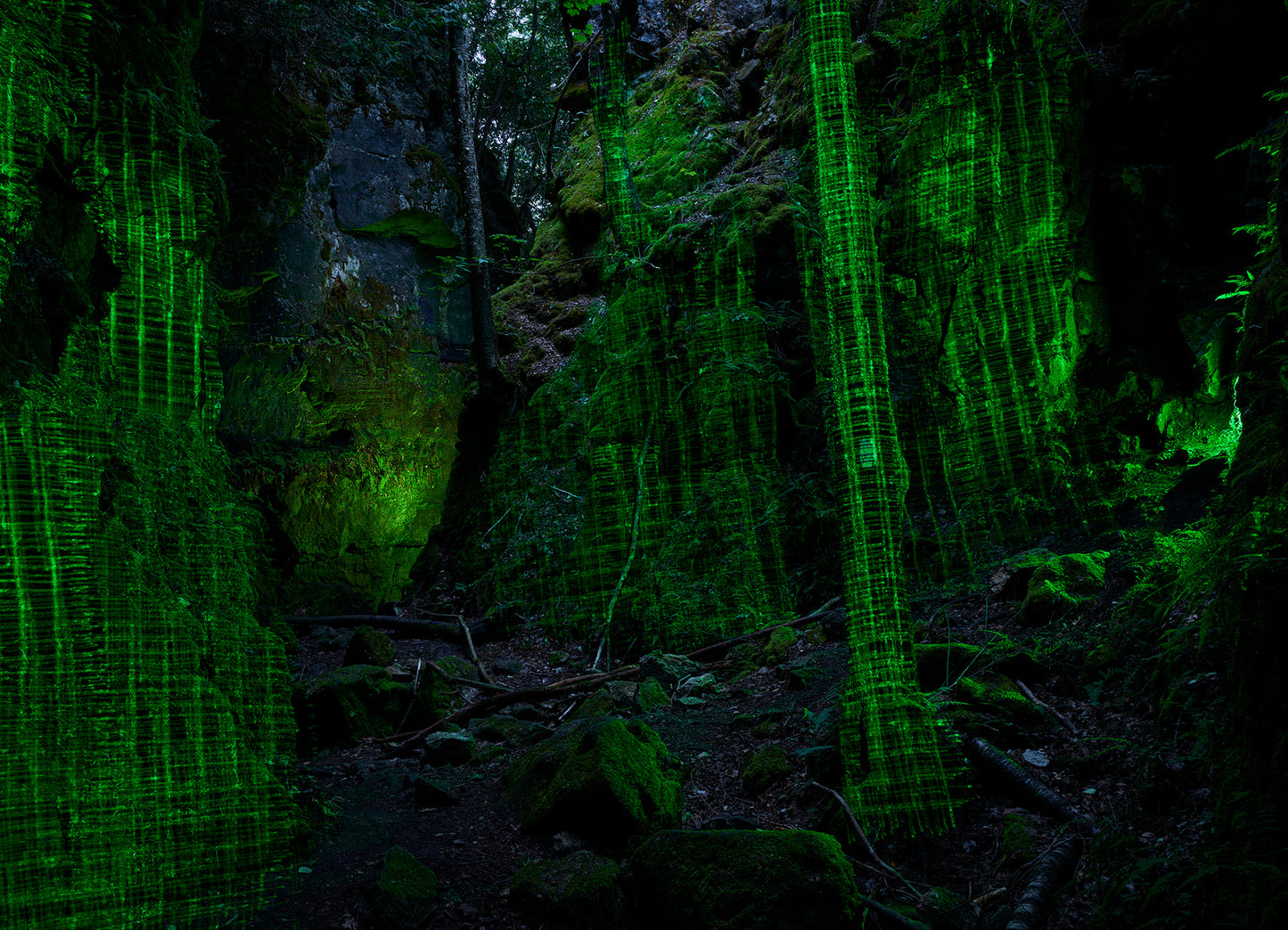 An artwork depicting a forest scene with an abstract, grid-like pattern superimposed on it, illuminated in a dark setting.