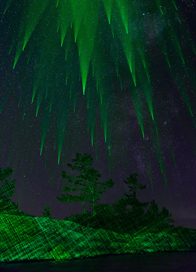 What looks like aurora borealis over a forest with trees silhouetted against the starry sky.