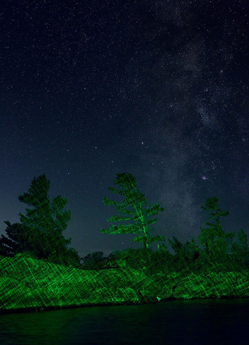 Night sky with stars and the Milky Way over a forest landscape.