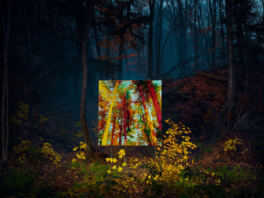 Colorful forest painting glowing in dark autumn woodland.