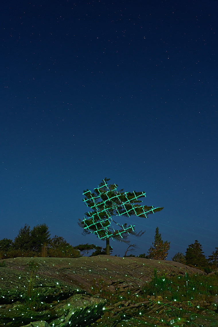 Pine tree illuminated with green lights against a starry, dark blue sky