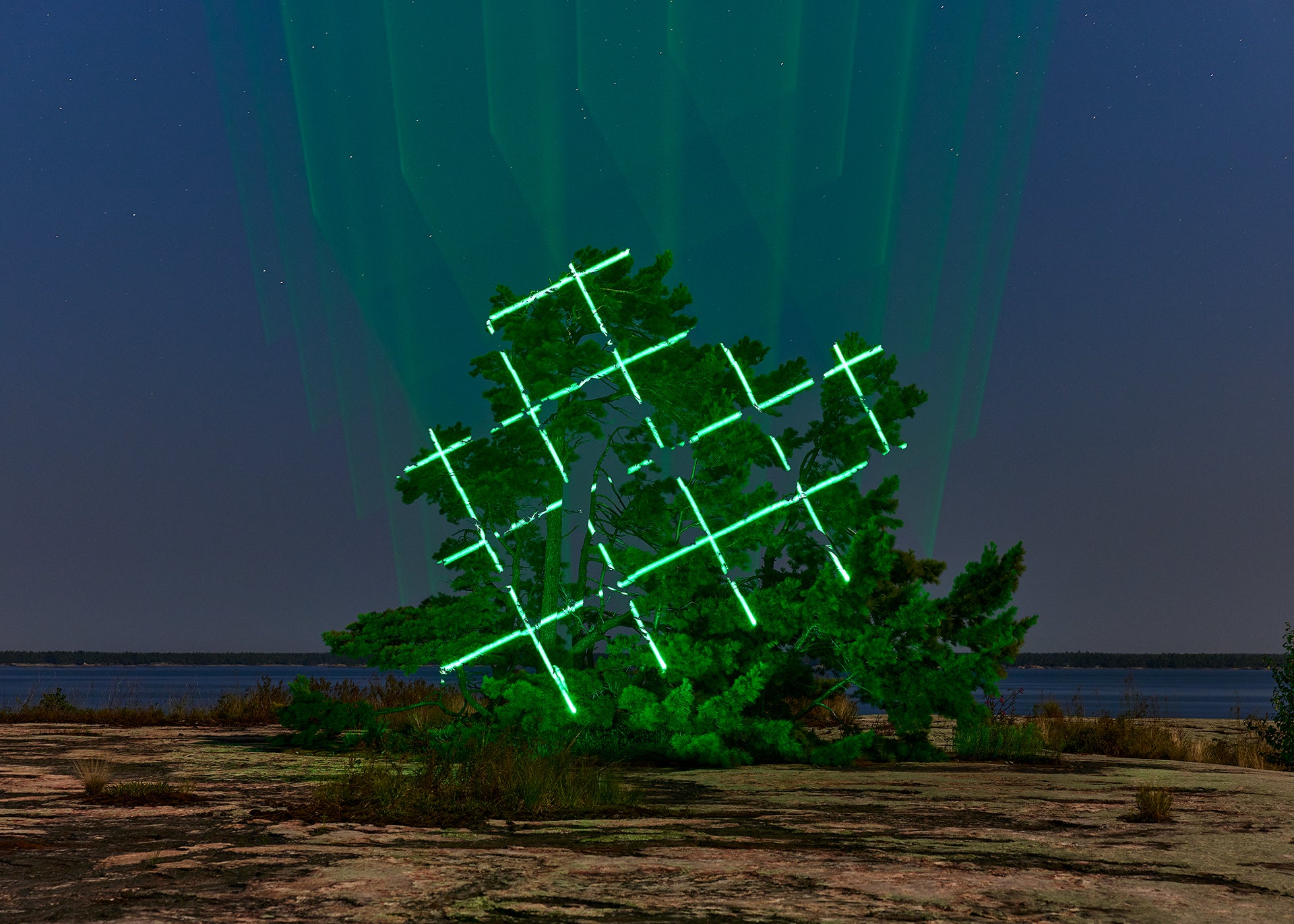 Temporal perspective