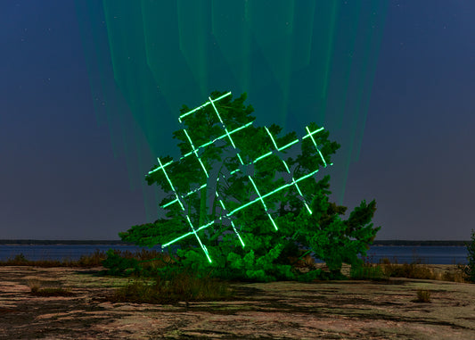 Temporal perspective